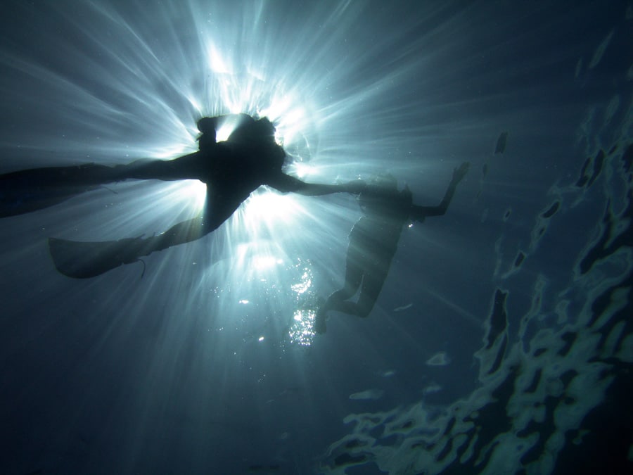 Diver silhouette