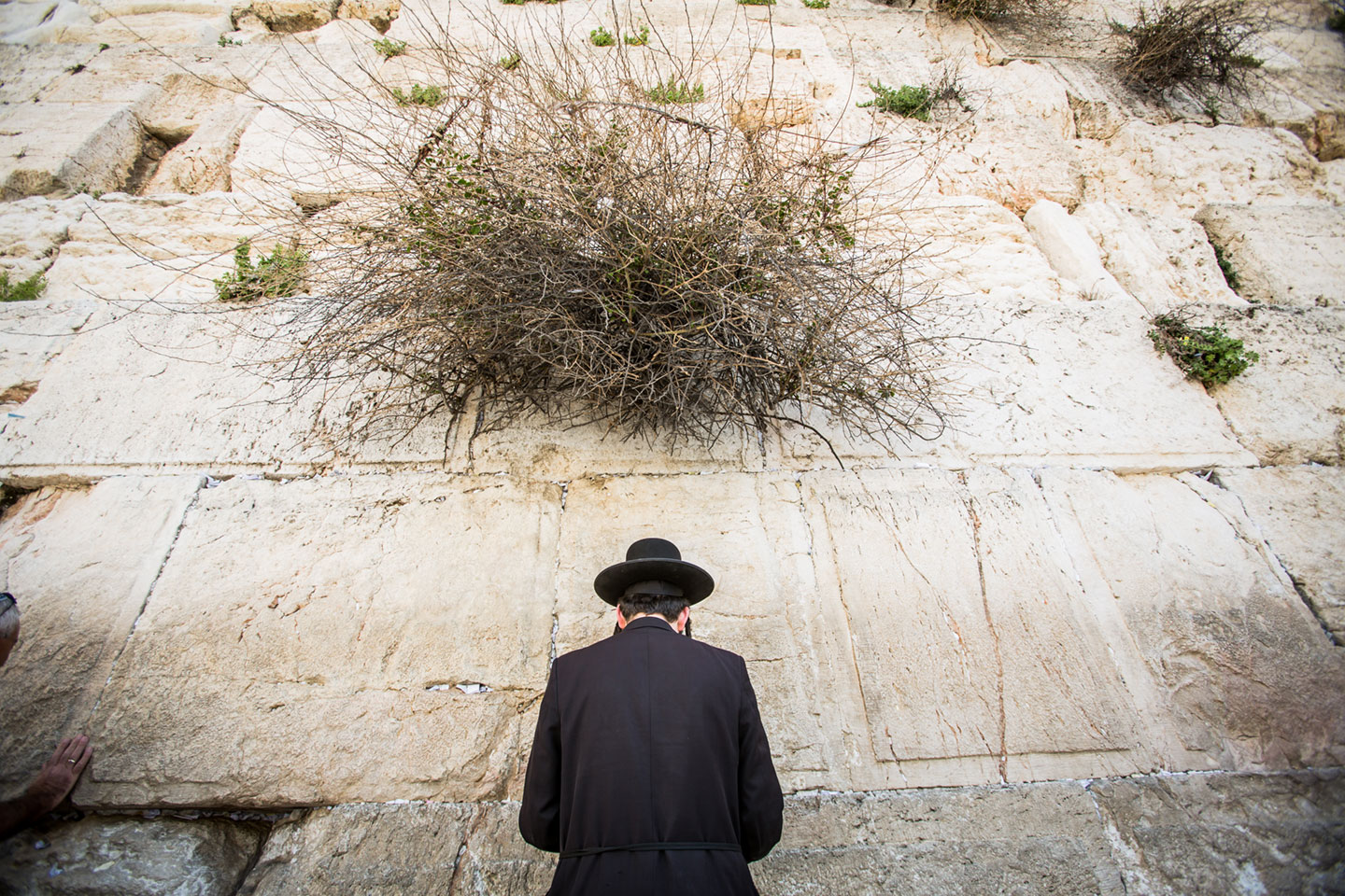 Man praying at the western wall in Jerusalem, Israel