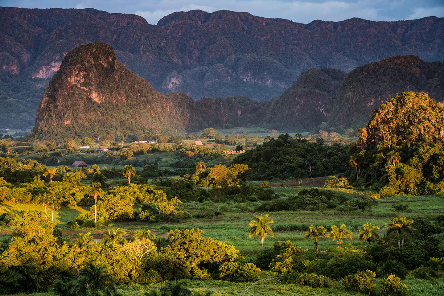 Green landscape in the valley of Viñales, Cuba