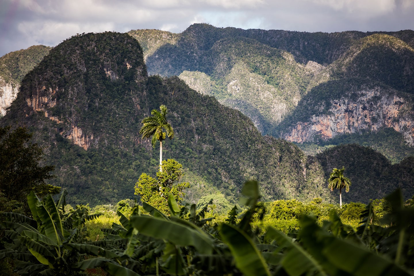 The valley of Viñales in Cuba