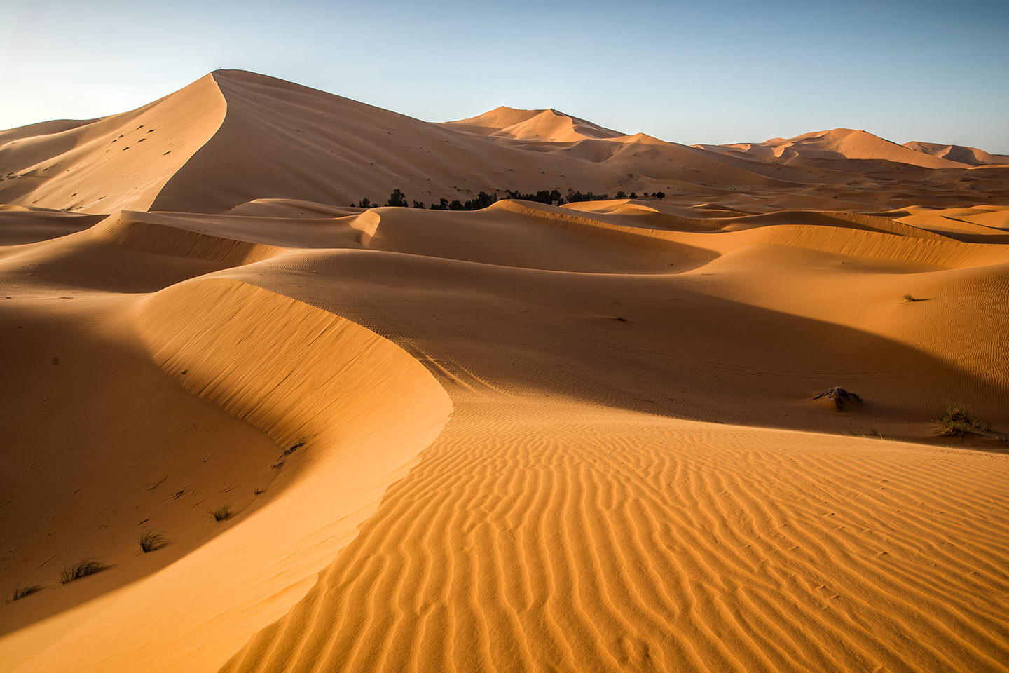 Sand dunes of the Sahara Desert in Morocco