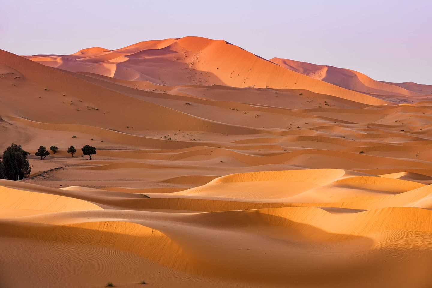 Sunrise over the Sahara desert sand dunes in Morocco