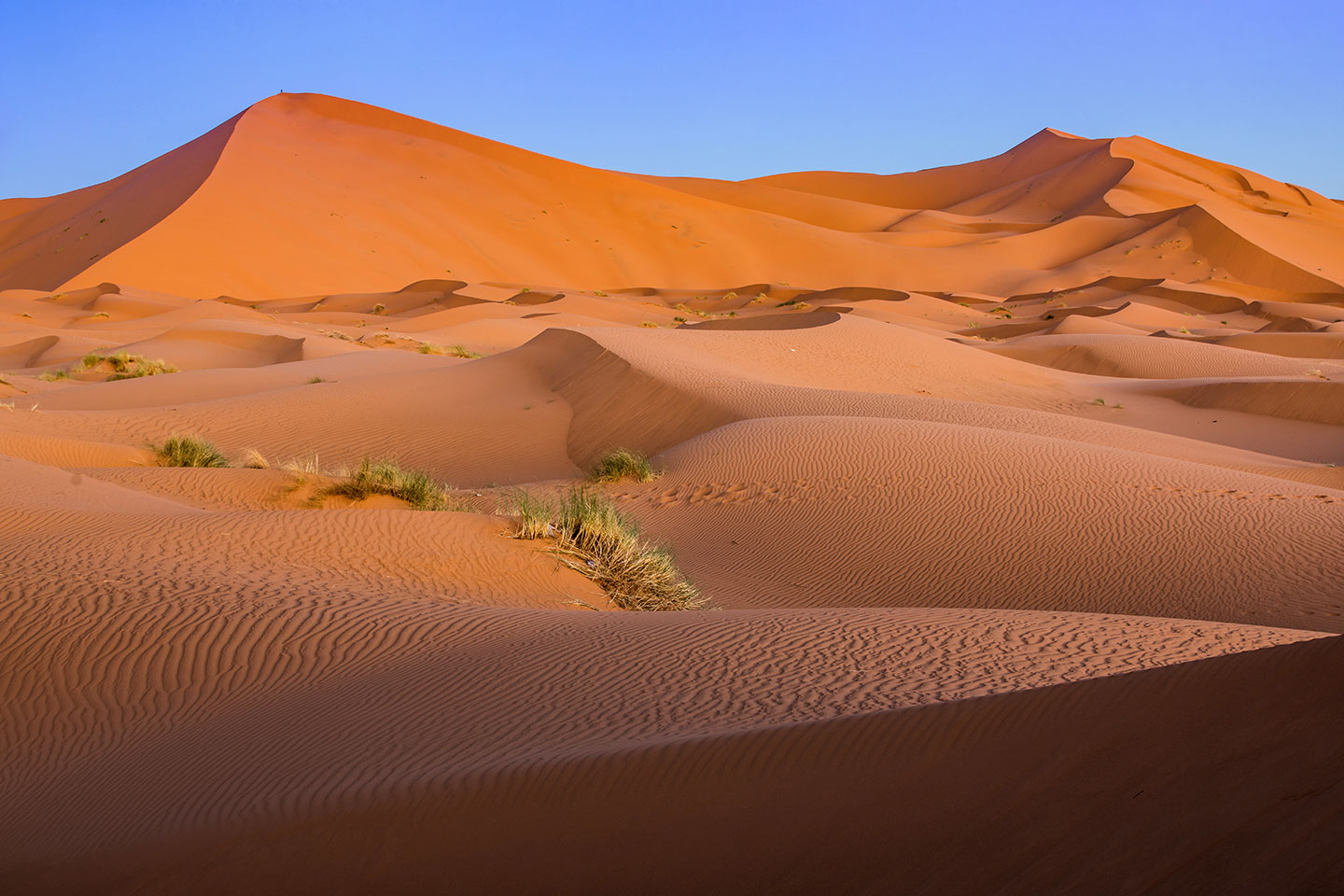 Giant sand dunes of the Sahara Desert in Morocco