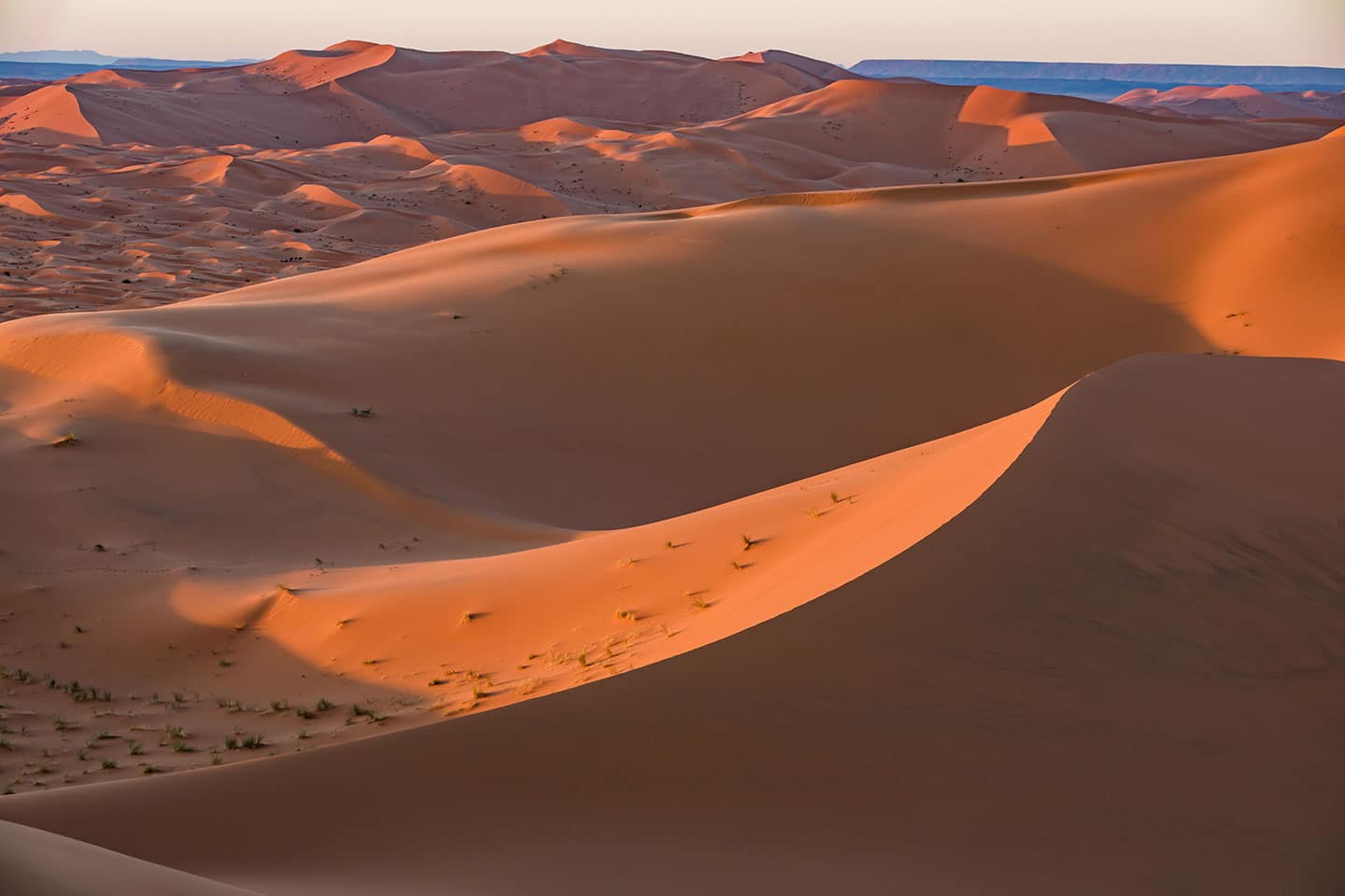 Sahara sand dunes of Morocco