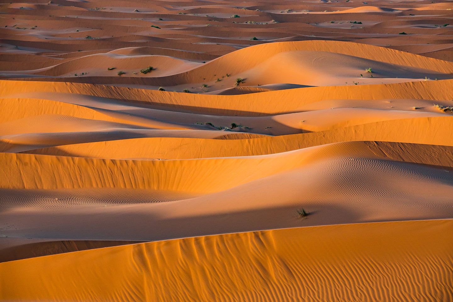 Beautiful layers of sand in the sand dunes of Zagora, Morocco