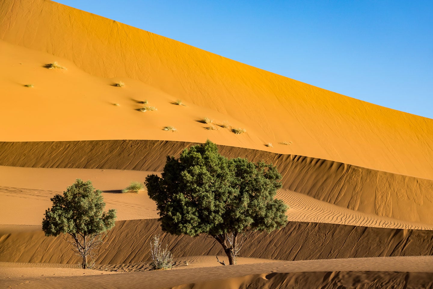 Travel photography Morocco of the sand dunes