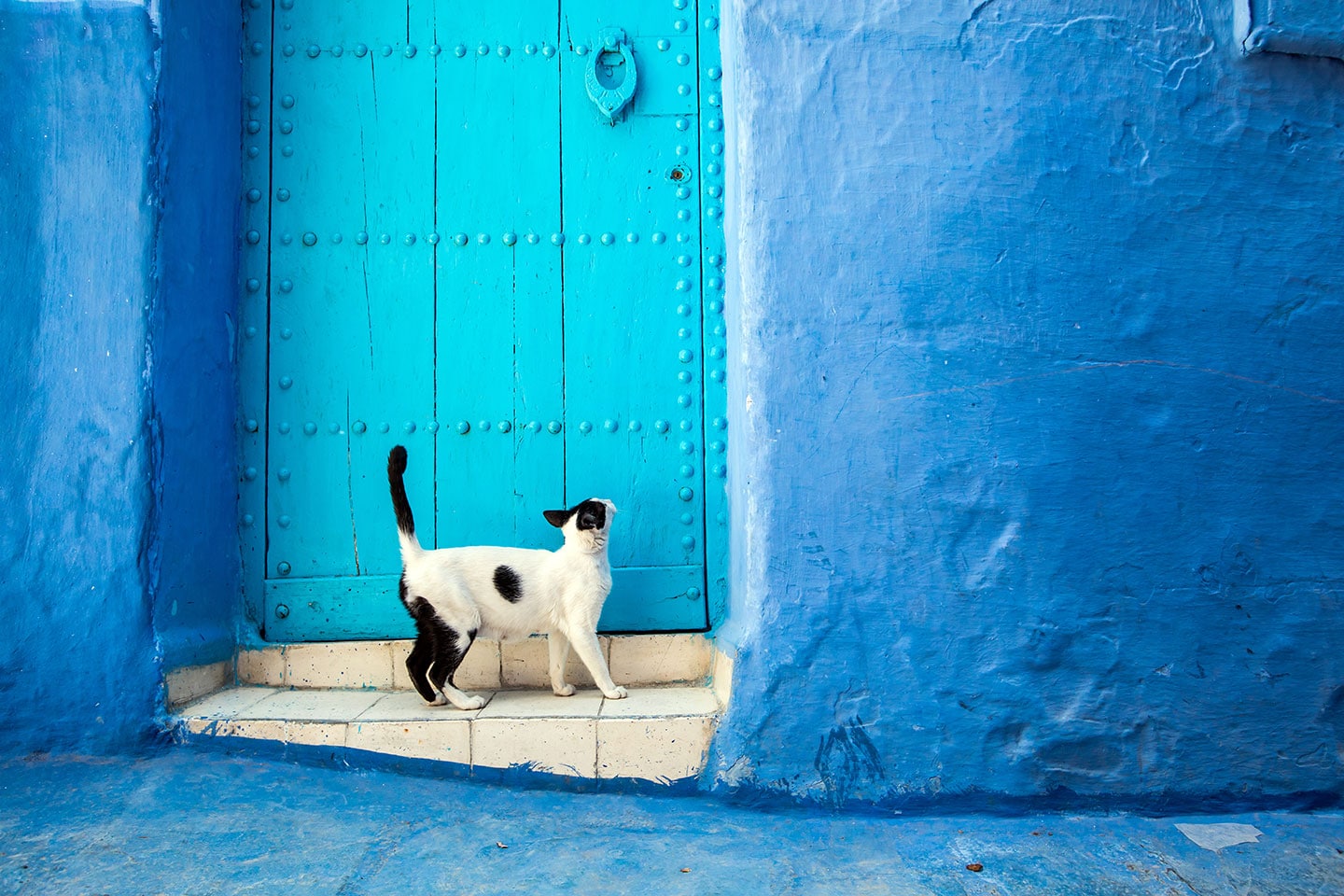 Travel photography in Chefchaouen, Morocco