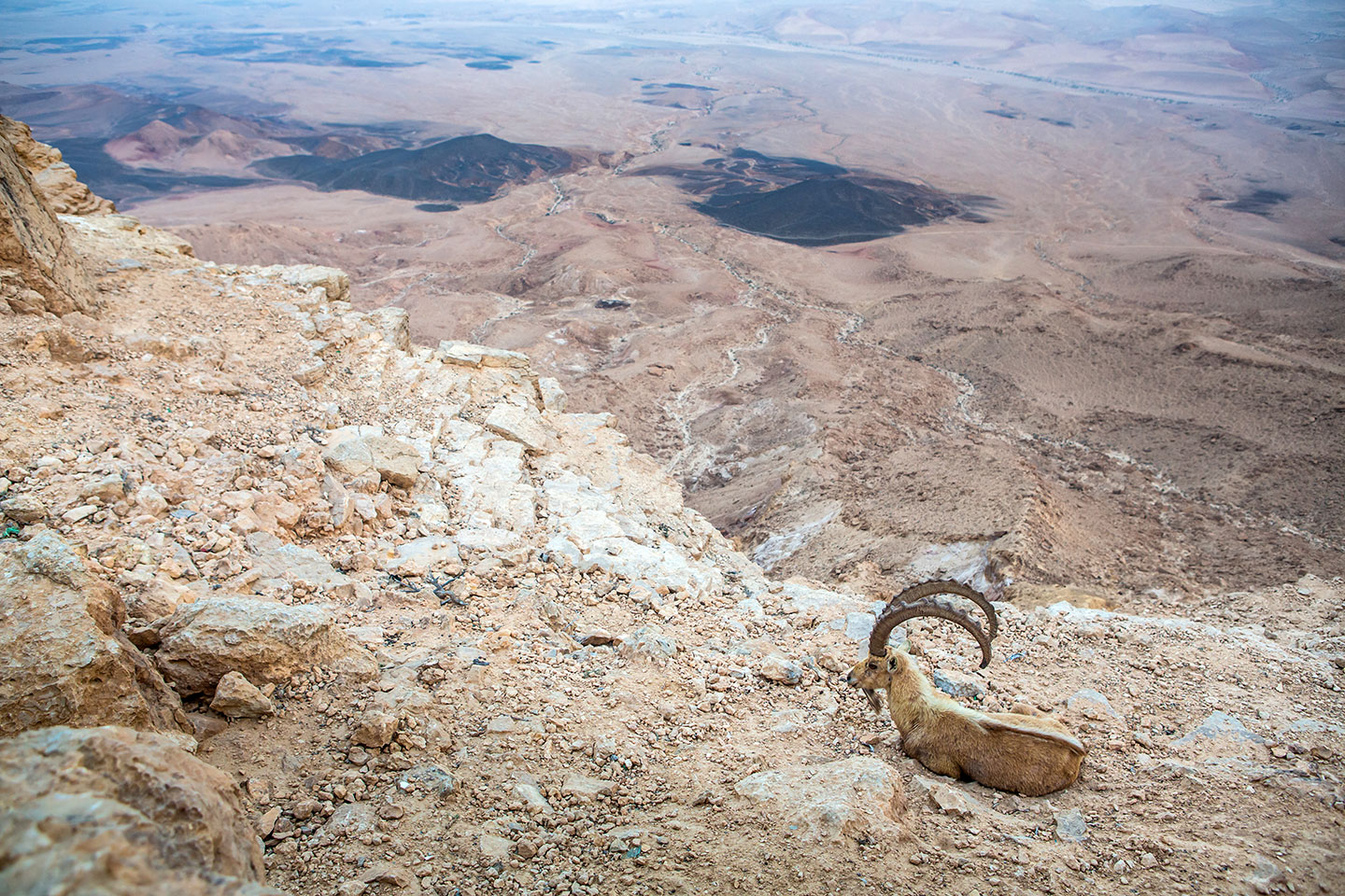 Mitzpe Ramon crater and cliffs, Israel