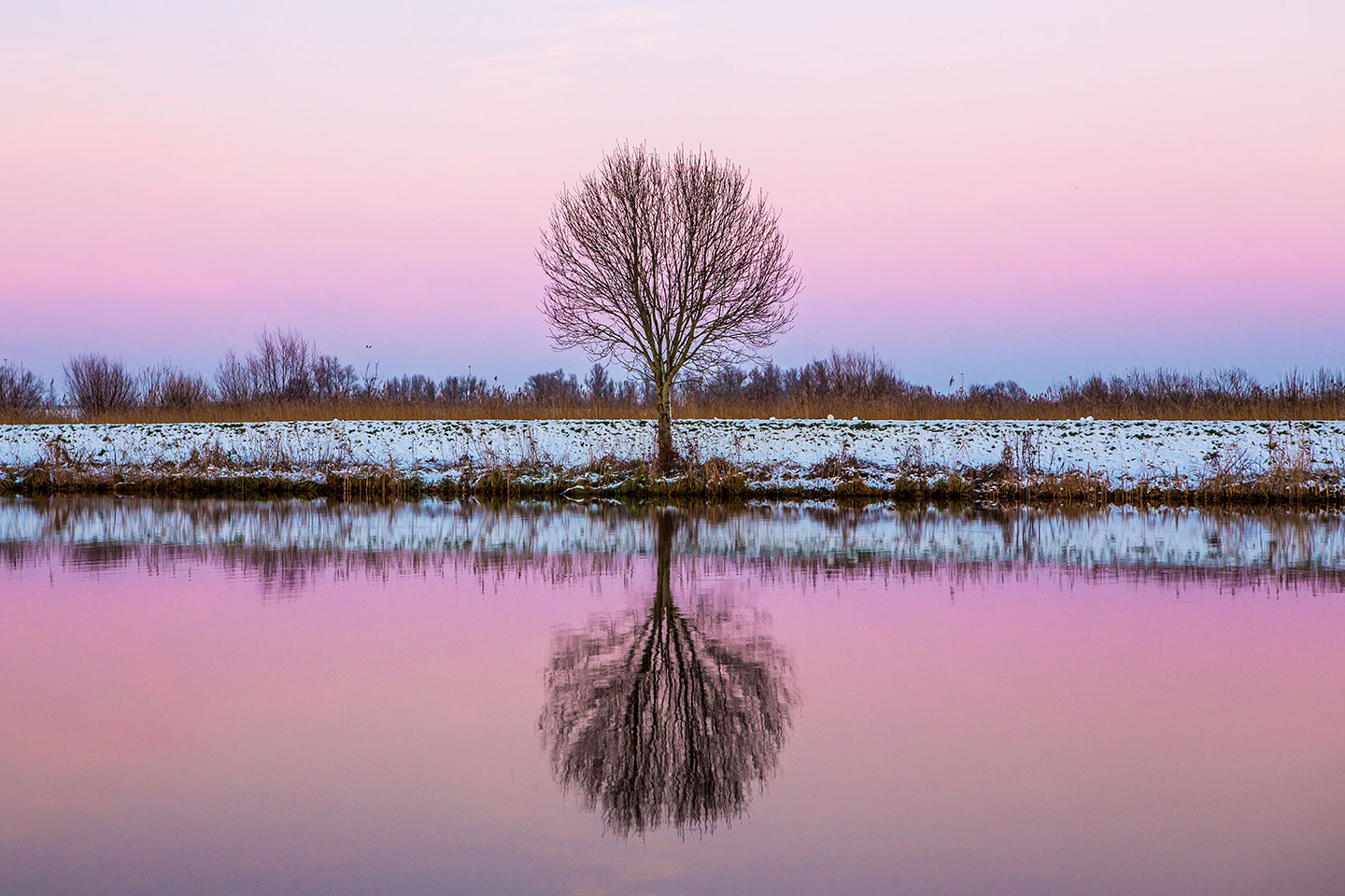Dutch winter scenery during a travel photography trip through the Netherlands