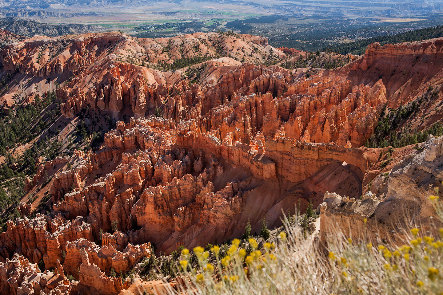 Views over Bryce Canyon National Park in Utah