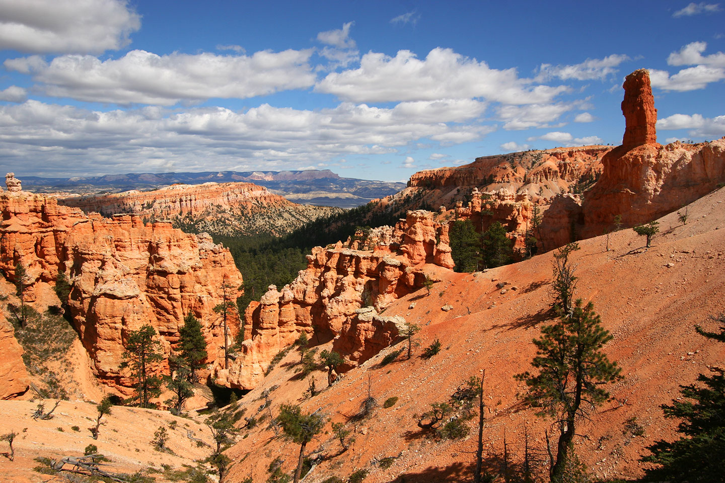 Bryce Canyon National Park red rocks, Utah