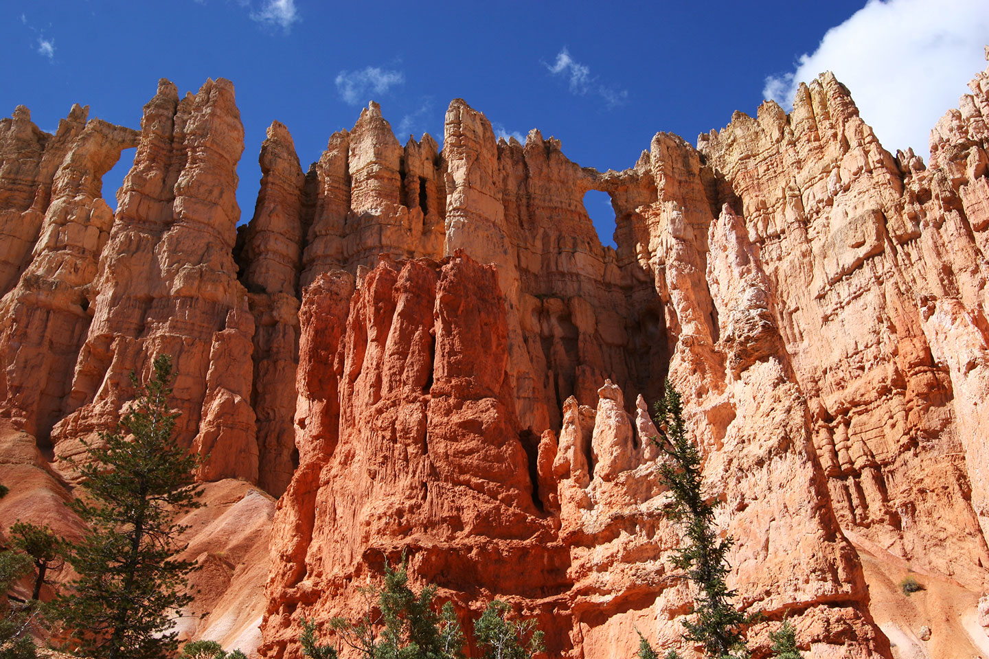 Wall of windows in Bryce Canyon National Park in Utah