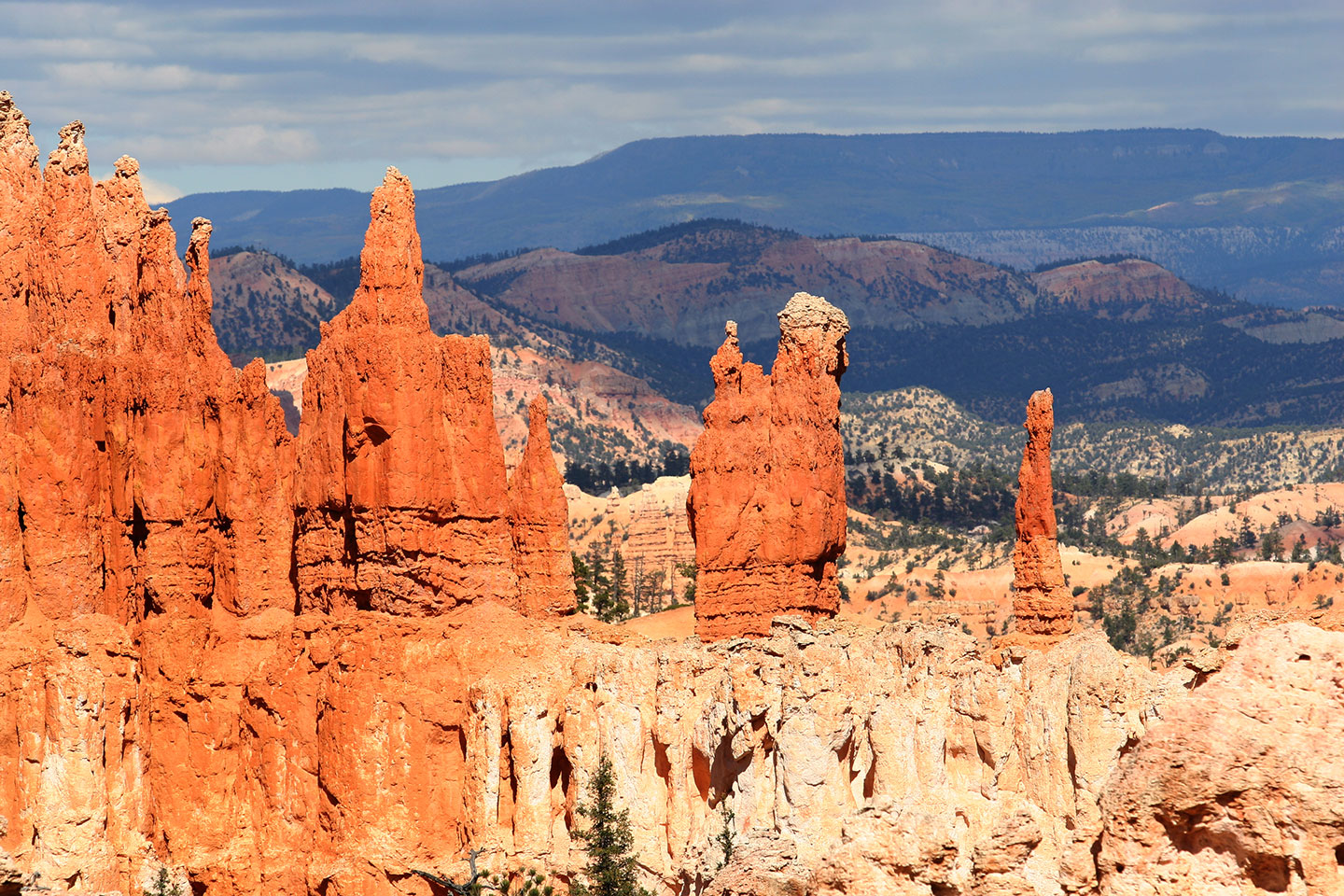 Wall of windows in Bryce Canyon National Park, Utah