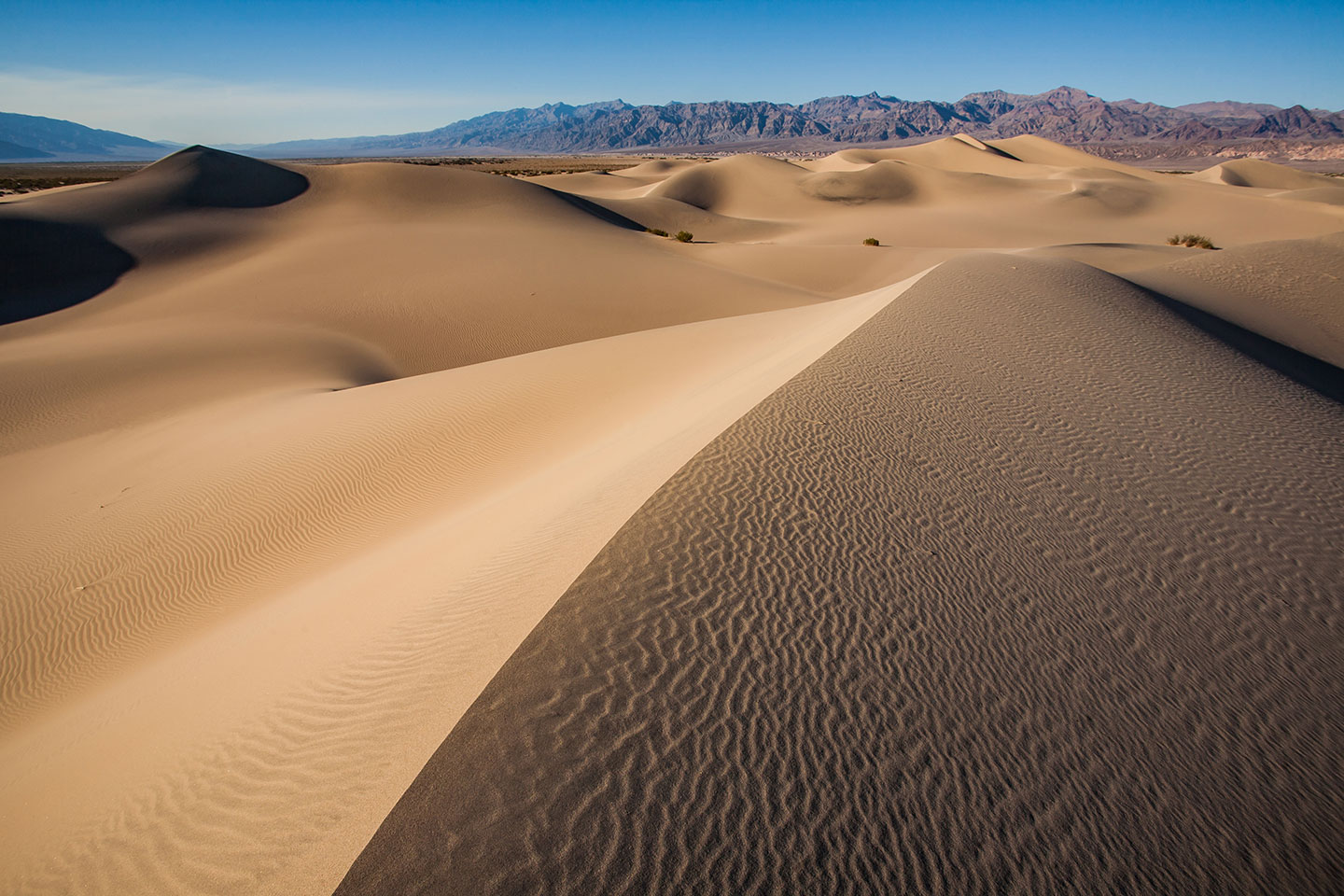 Sand dunes in Death Valley National Park in California