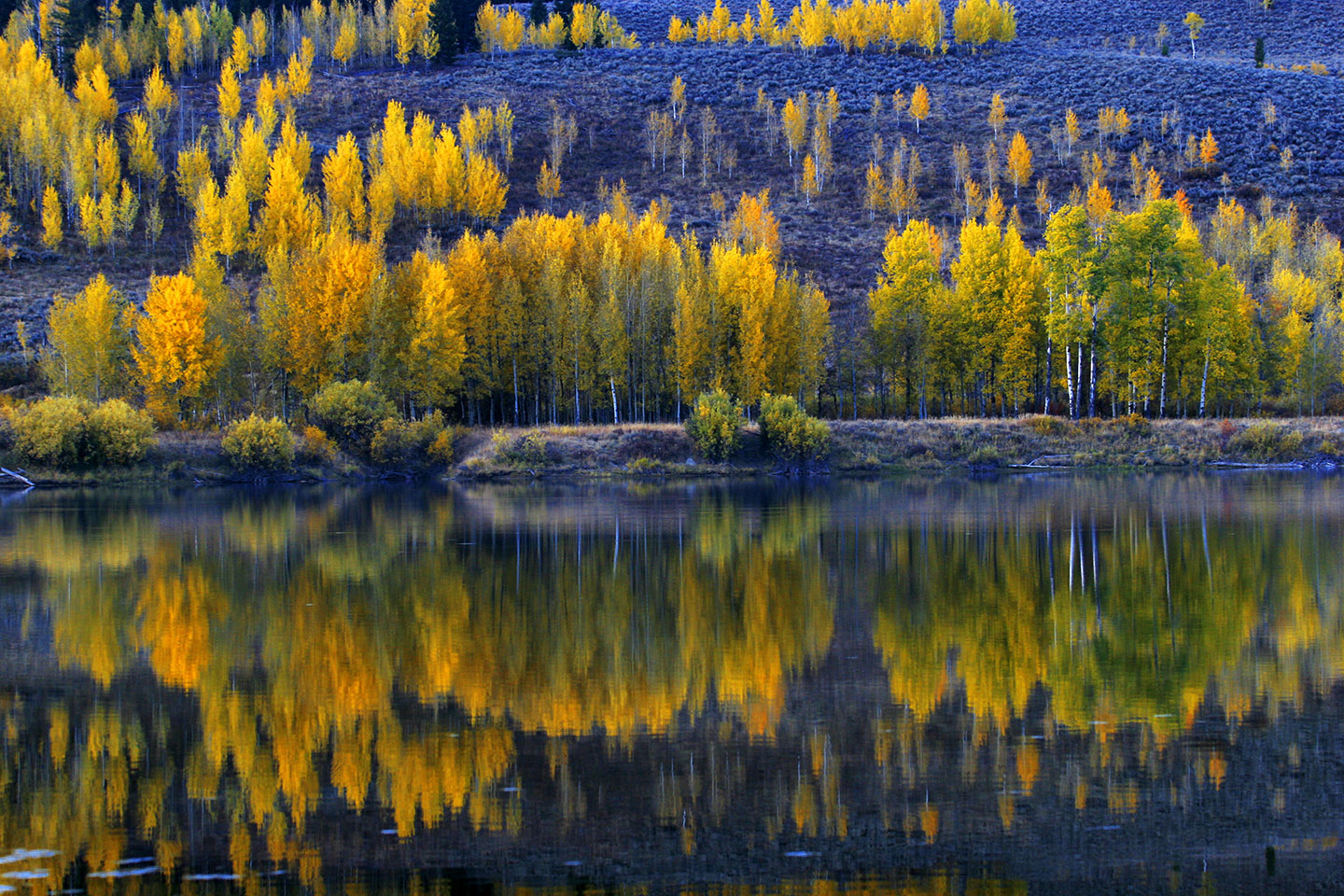 Fall colors around a lake at Grand Teton National Park in Wyoming